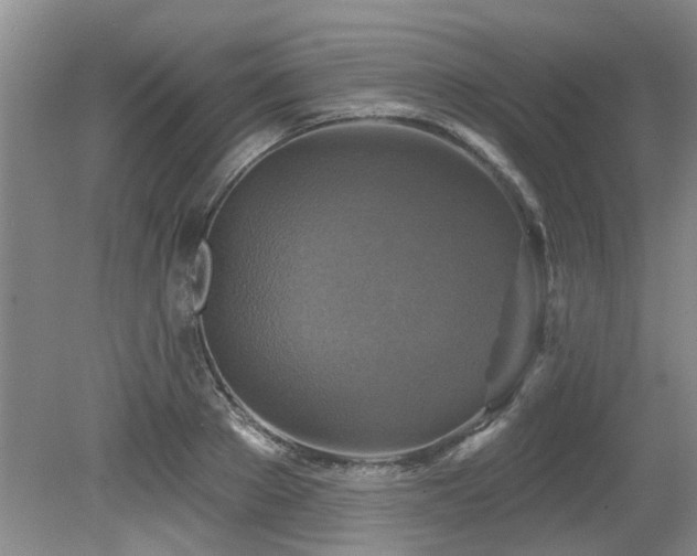 X0000079330889200611171146