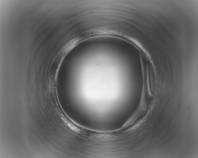 X0000079330897200611171146
