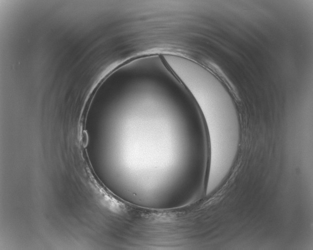 X0000079330900200611171146