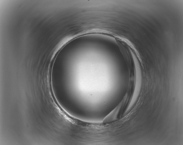 X0000079330910200611171146