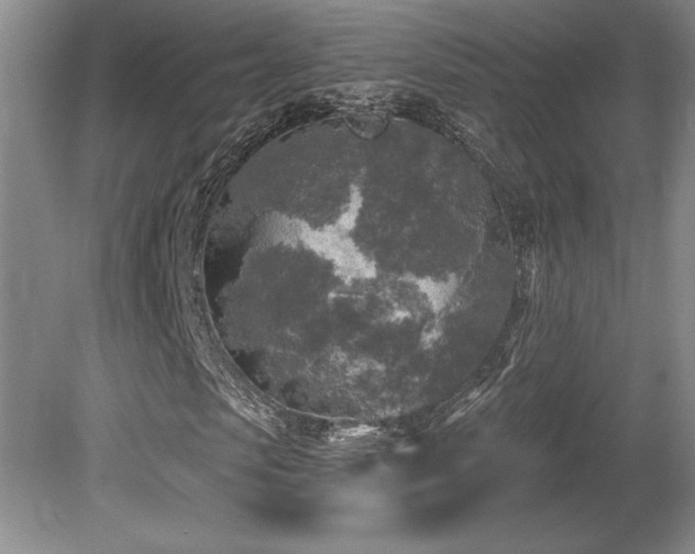 X0000079330913200611171145