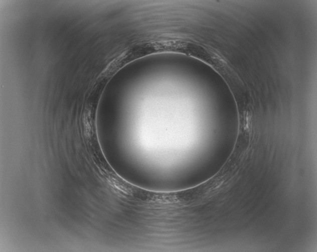 X0000079330915200611171145