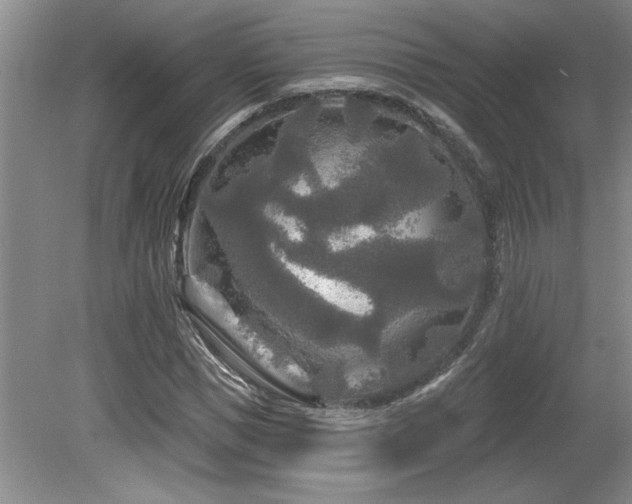 X0000079330921200611171145