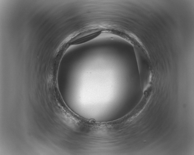 X0000079330922200611171145