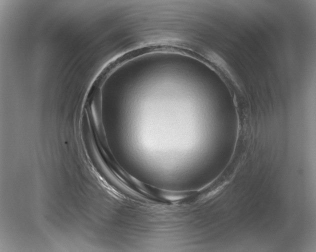 X0000079330924200611171145