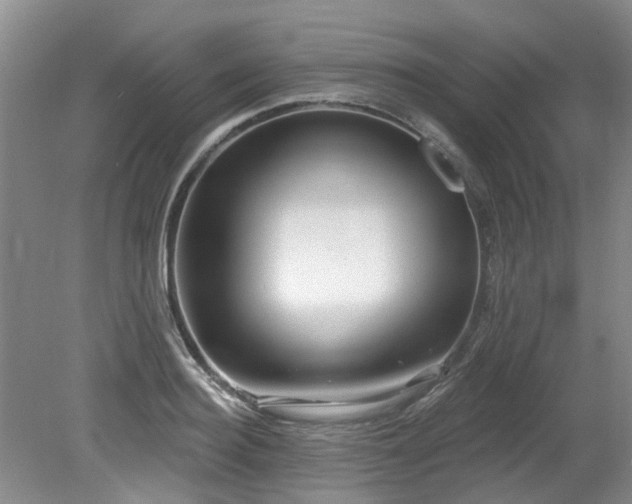 X0000079330940200611171145
