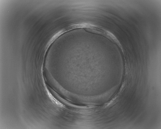 X0000079330946200611171145