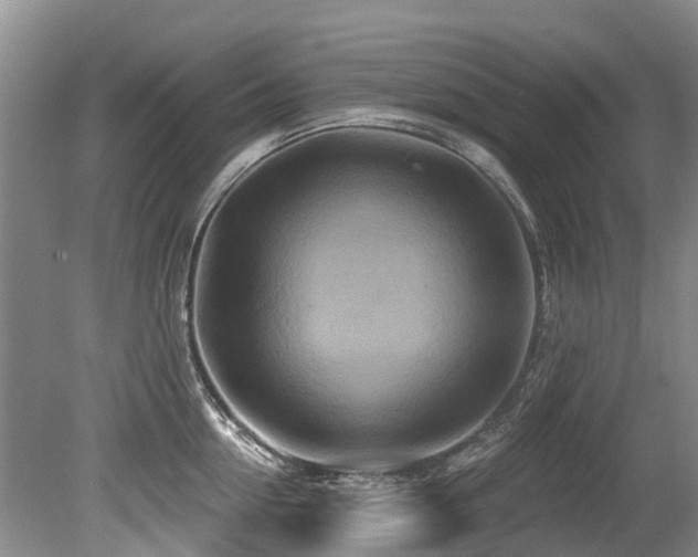 X0000079330954200611171145