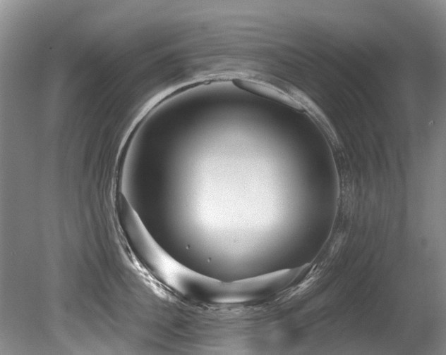 X0000079330956200611171146