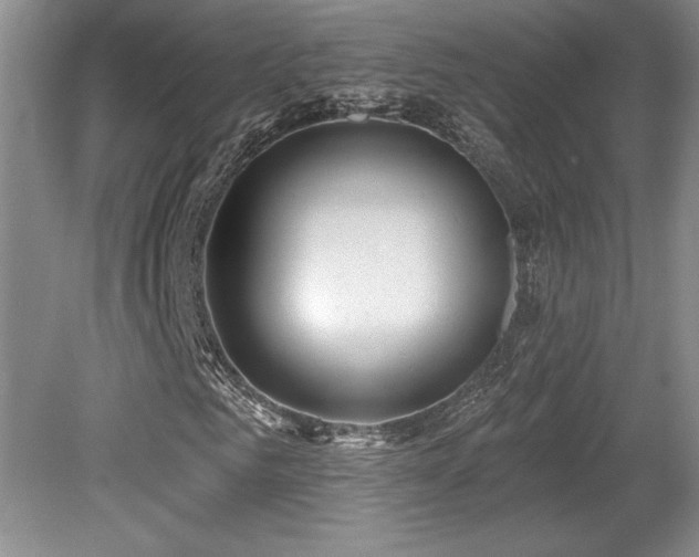 X0000079330961200611171145