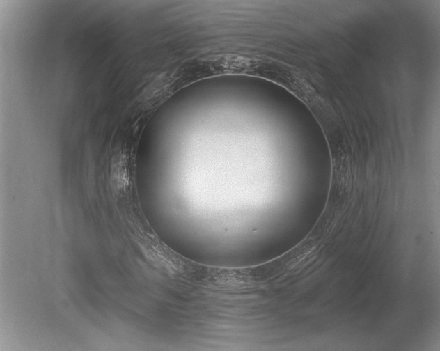 X0000079330962200611171145