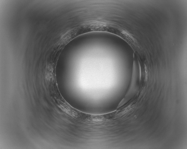X0000079330964200611171145