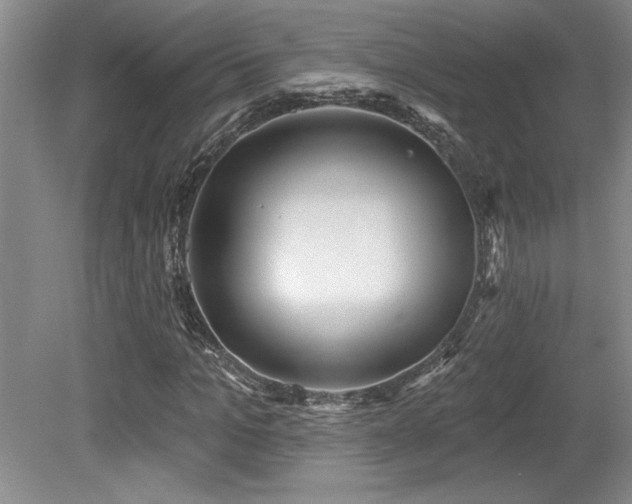 X0000079330965200611171145