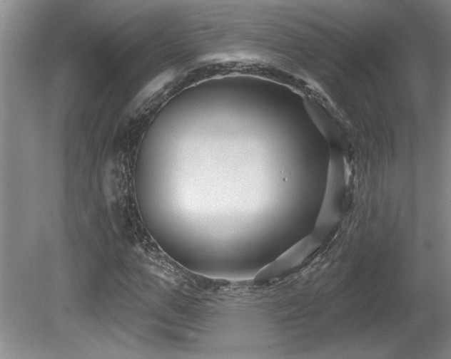X0000079330967200611171145