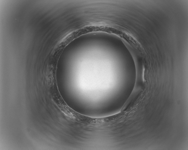 X0000079330968200611171145