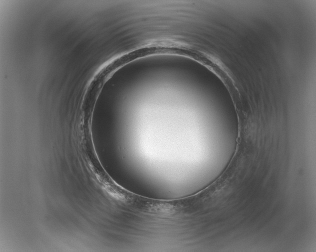 X0000079330971200611171145