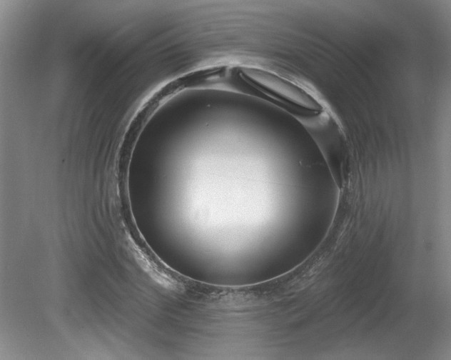 X0000079330972200611171145