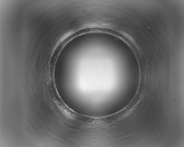 X0000079330974200611171145