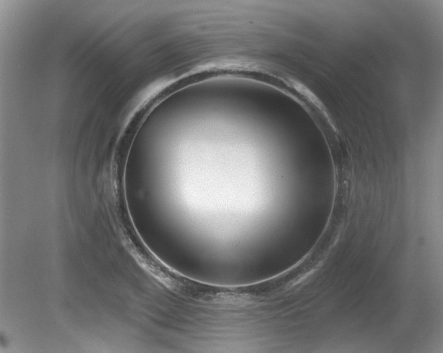 X0000079330981200611171144