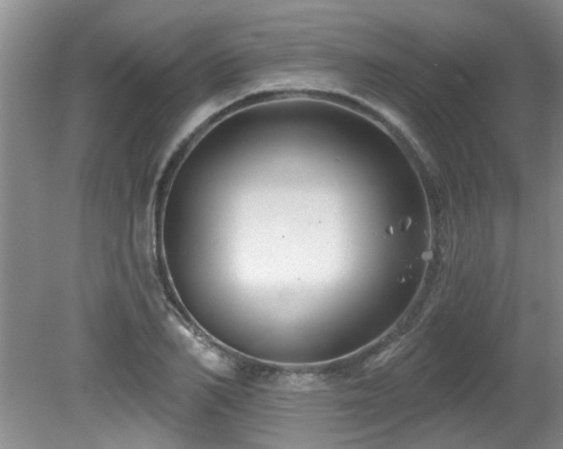 X0000079330982200611171144
