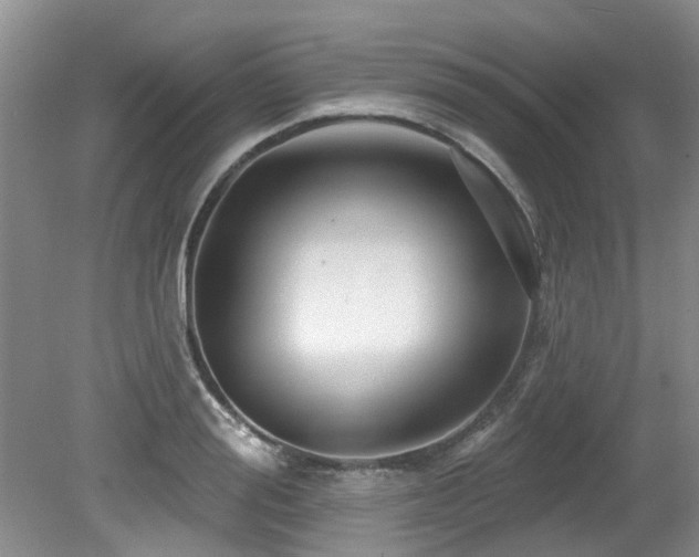 X0000079330988200611171144