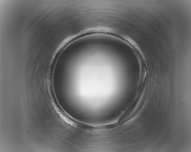 X0000079330989200611171144