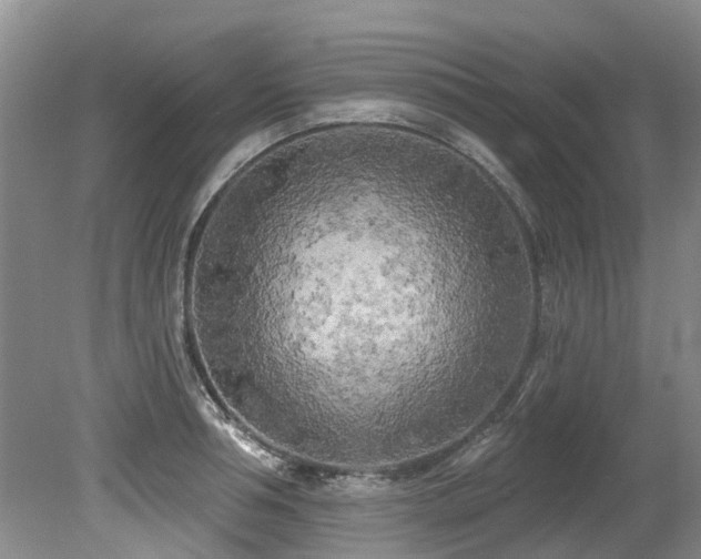 X0000079330994200611171144