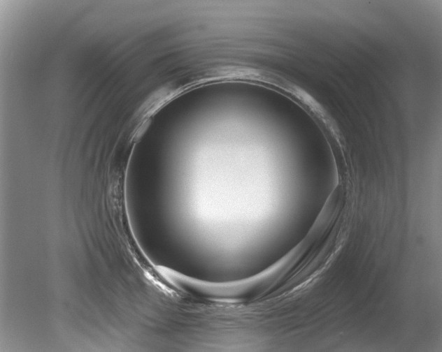 X0000079331001200611171144