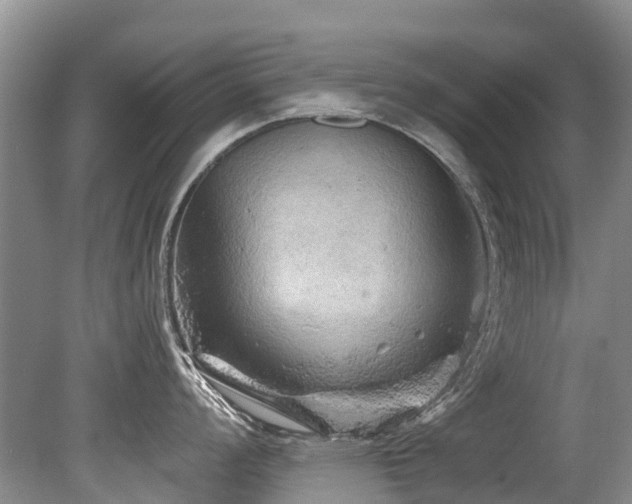 X0000079331008200611171144