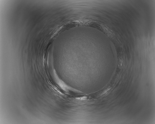 X0000079331010200611171143