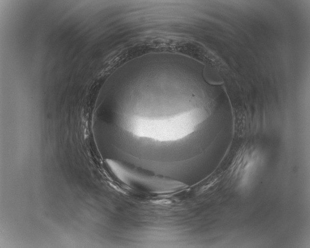 X0000079331013200611171143