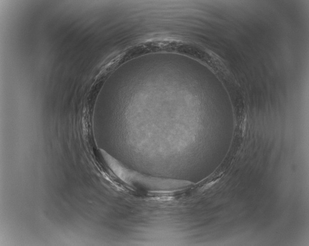X0000079331014200611171143