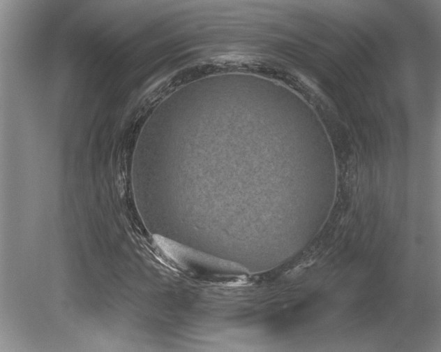 X0000079331015200611171143