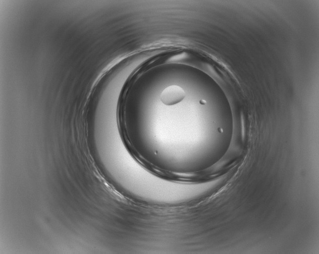 X0000079331018200611171143