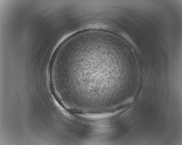 X0000079331032200611171144