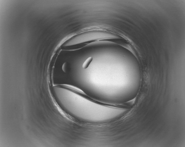 X0000079331034200611171144