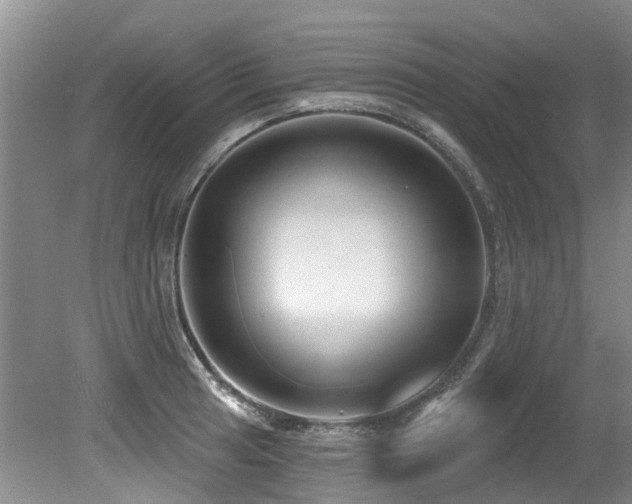 X0000079331041200611171144