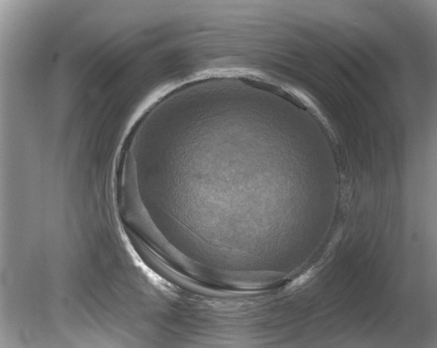 X0000079331046200611171144