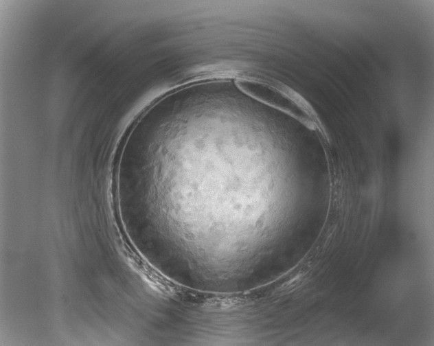 X0000079331051200611171144
