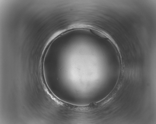 X0000079331053200611171144