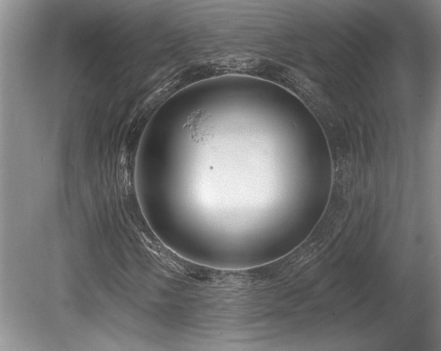 X0000079331058200611171143