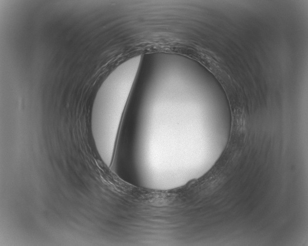 X0000079331060200611171143