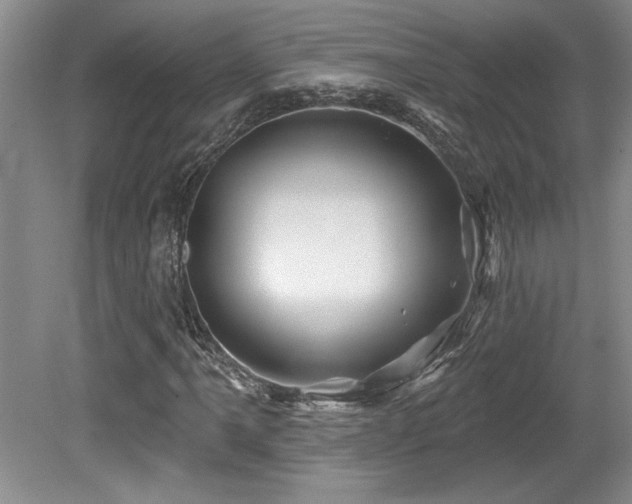 X0000079331061200611171143