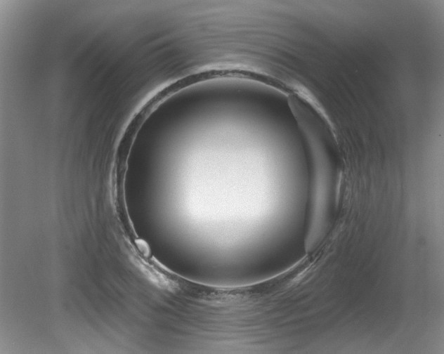 X0000079331076200611171143