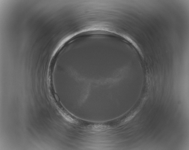 X0000079331077200611171143