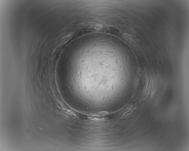 X0000079331105200611171142