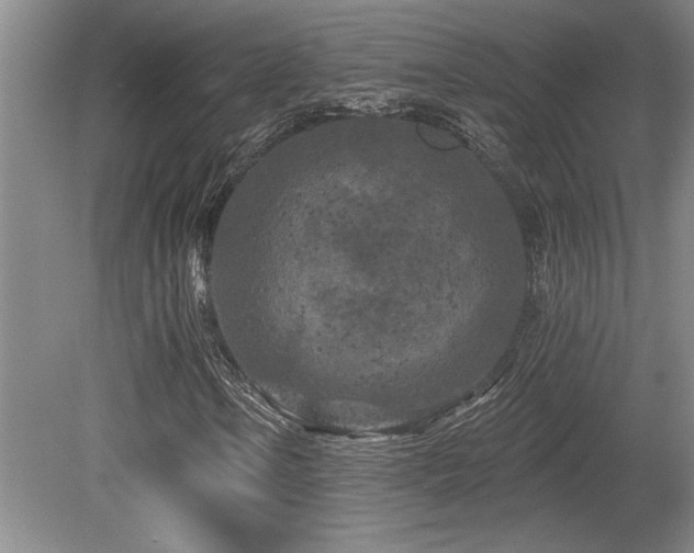 X0000079331106200611171142