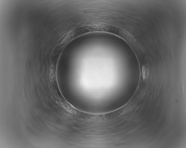 X0000079331107200611171142