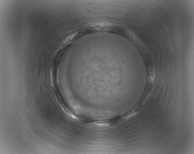 X0000079331108200611171142