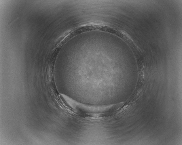 X0000079331110200611171142
